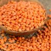 Red Lentils Masoor Spl...