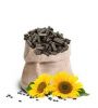 Sunflower meal