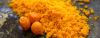 Egg&Egg products