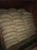 Arabica coffee