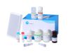 4-HNE (4-Hydroxynonenal) ELISA Kit