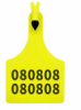 ear tag