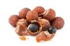 Soapnut 