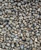 Arabica Lintong Coffee Beans
