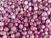 Onions 