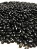 Black Beans