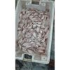 Premium Quality HGT Fr...