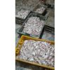 BQF Style HGT Frozen R...