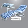 Pool Loungers