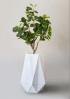 Diamond White Stone Pl...