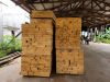 Tropical hardwood logs