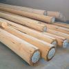 Cape Reed TIMBER 