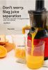 Flesh-Separating Juicer