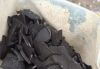Premium Coconut Shell ...