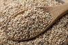 Sesame Seeds