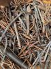 High Purity 99% Copper...