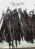 vanilla tahitensis