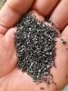  ANTRACITE COAL
