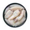 Frozen  Squid