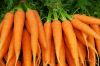 premium Carrots