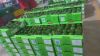 Fresh Kenyan Hass Avoc...