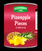 Canned Pineapple Slices/ Pieces/ Tidbits/ Broken Slices in light syrup
