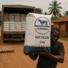 Whole milk powder