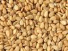 Nigerian White Sesame ...