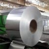 Galvanized steel coils