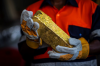 Gold, Copper Cathode