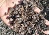 Agro wastes