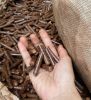 Wood pellet