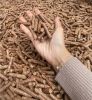 Wood pellet