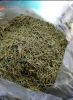 rosemary