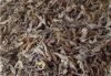 Dried Sea Horse Export...