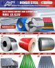 Metal Roof