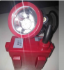 Explosion-proof chargi...