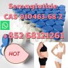 Semaglutide  CAS 91046...