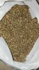 Central Java Robusta C...
