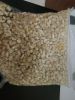 White Maize 