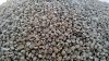 Kona Green Arabica Cof...