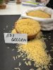 1121 (creamy sella, go...