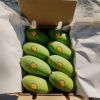 FRESH MANGOES