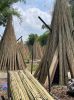 Bamboo Cane Long Stick...