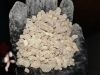 Frankincense Resin Bos...