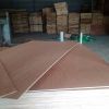 Vietnam Plywood for pa...