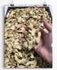 Dried ginger slices