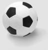 Sports Goods