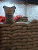 Arabica Coffee Beans
