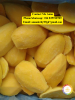 High Quality Frozen Ma...